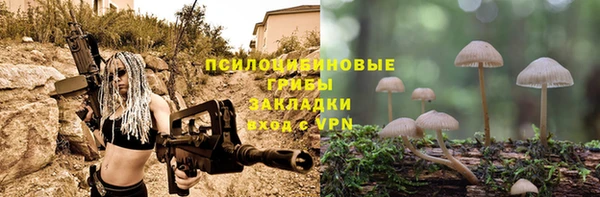 прущие крисы Богородицк