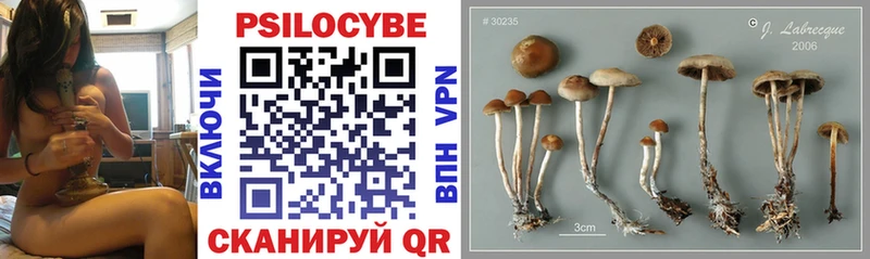 Псилоцибиновые грибы Magic Shrooms  Тольятти 